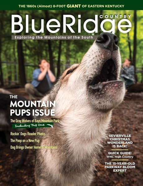 Nov/Dec 2020 cover