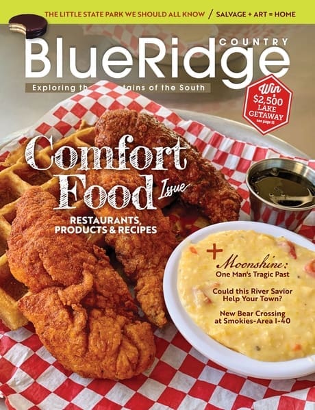 March/April 2021 cover