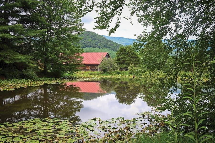 The pond next to the visitor center entrance is easily accessible and a beautiful spot for a selfie or an afternoon of plein air painting.