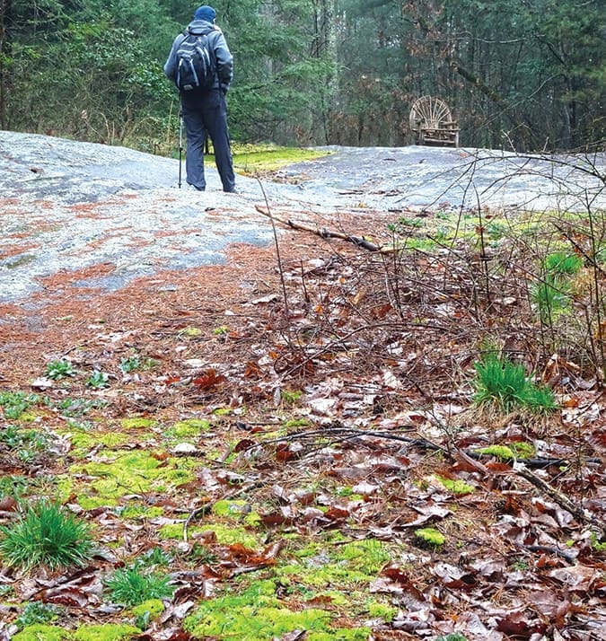 Sloping rock faces are a feature of the trail.