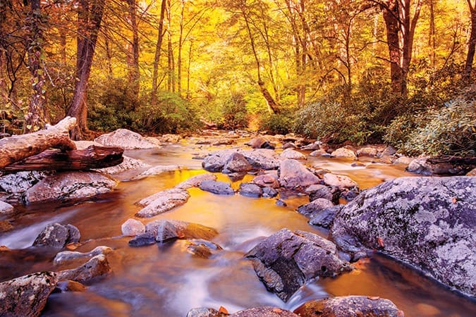 Golden light and autumn color reflect amid the time-worn boulders in a hidden stream in the Great Smoky Mountains National Park, Tennessee.