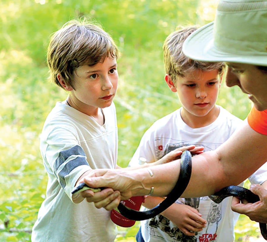Deegan says the key to stopping our tendency to harm creatures like spiders and snakes is to learn about them and thus build appreciation.