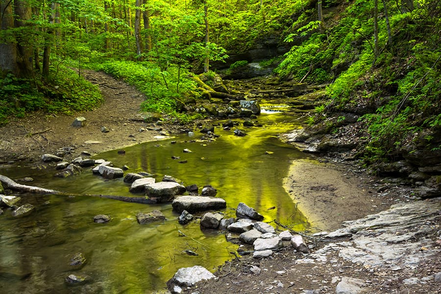 Stream crossing