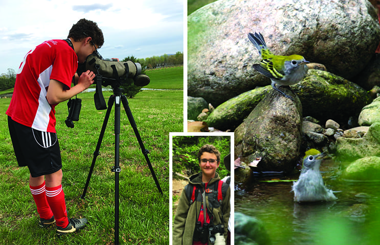 Left and inset: Ezra Staengl Bronze Award at the 2018 American Birding Association Young Birder of the Year Competition included an honorable mention for his photography. Right: Ezra got photographically up close and personal with these chestnut-sided warblers.